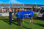 141023-Race 3-Montassib-8951