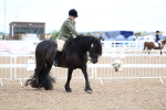 SBM_00390