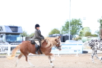 SBM_17145