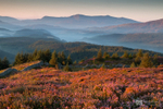 Coed y Brenin & Cadair Idris