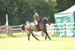 SBM_12954