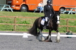 SIAL4802
