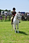 SBM_06452