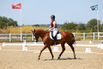 SBM_011729