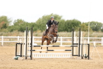 SBM_023531