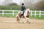 SBM_000672