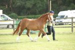 SBM_10527