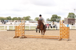 Class 55 - Clear Round Jumping portfolio