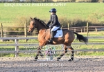 BPP_9816