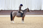 SBM_000055