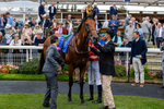 210826-Race 1-Blue Courvoisier-6246