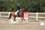 SBM_015772
