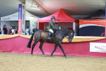 SBM_05182