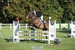 418-PENHILL.REX-Lesley.Mitton-TrotUp+SJ portfolio
