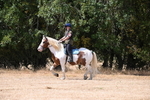 WJ6_9246