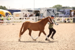 SBM_04602