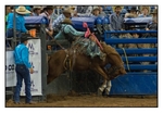 Chutes 1