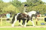 SBM_67432