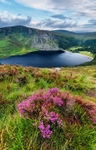 Lough Tay