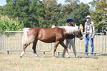 WJ6_4465
