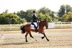 SBM_002279