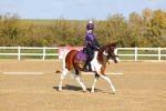 SBM_001141