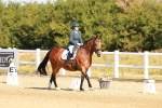 SBM_016699