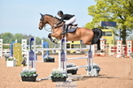 Cls 23 Talent Seeker Inc 7 yr old Start to 13.15 portfolio
