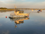 Golden Hour at Keyhaven - 1