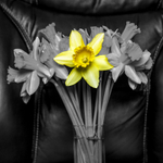 01Mar2013: Photo 60