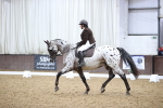 SBM_02456