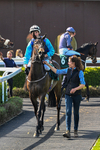 Race 2 portfolio