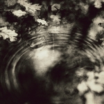 Raindrops