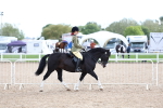 SBM_17492