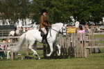 SBM_09167