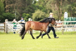 SBM_00589