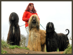 Long Haired and Walking