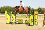 SBM_001288