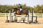 SBM_03918
