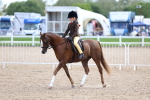 SBM_17590