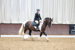 SBM_000051
