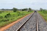 Bamboo Train passing rice fields, Battambang, Cambodia
