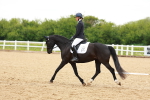 SBM_006482