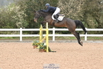 Cls 15 Foxhunter portfolio