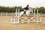 SBM_008428