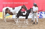 JAC_6092