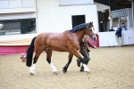 SBM_01154