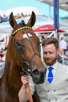 280625-Race 4-Hankelow-0374