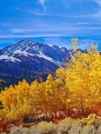 Istock #21170162
