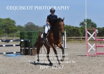 BPP_8297